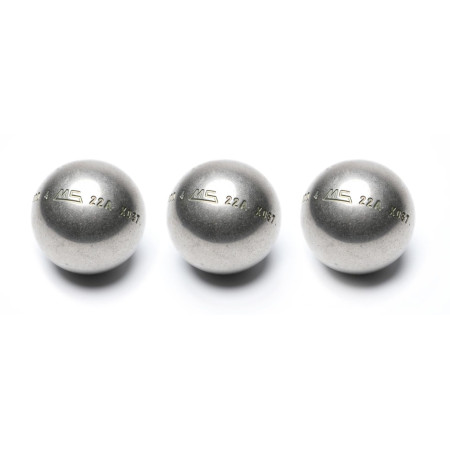 MS LSX - MS Petanque